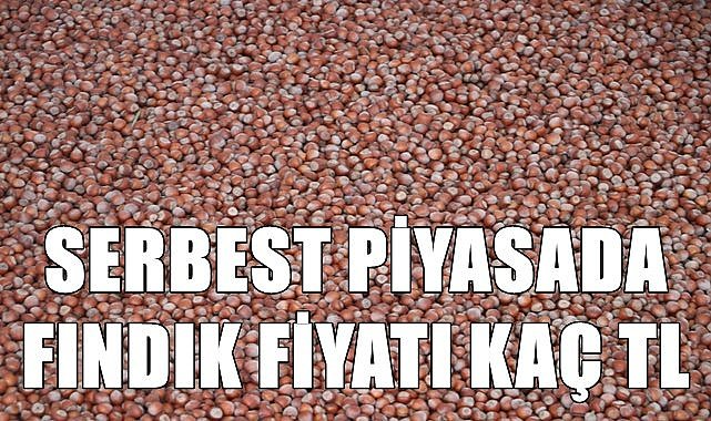 Fındık fiyatı 1.12.2022