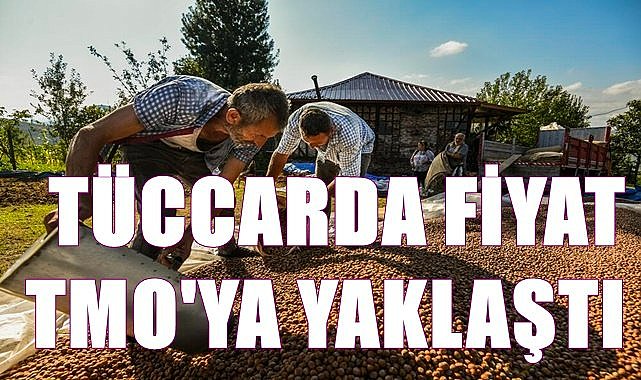 Fındık fiyatı 14.12.2022