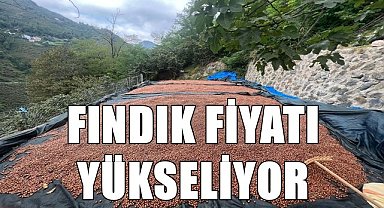Fındık fiyatı 2.12.2022