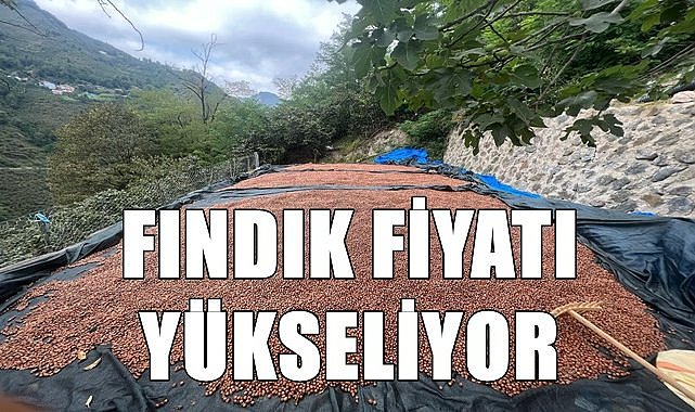 Fındık fiyatı 2.12.2022