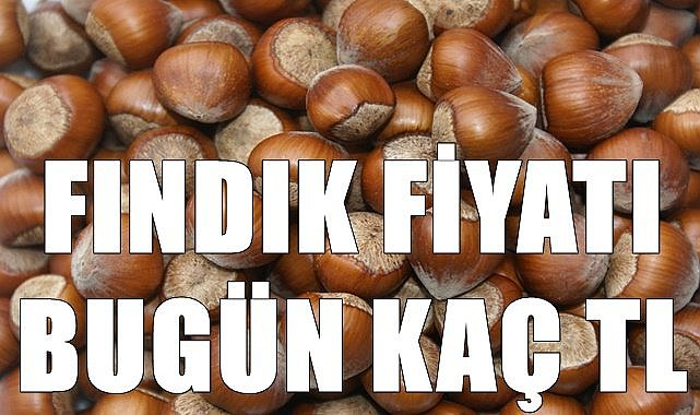 Fındık fiyatı 21.12.2022