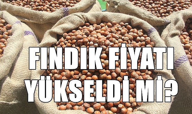 Fındık fiyatı 27.12.2022