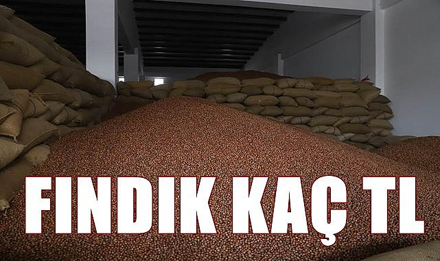 Fındık fiyatı 29.12.2022