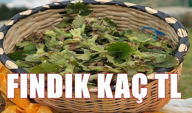 Fındık fiyatı 30.12.2022