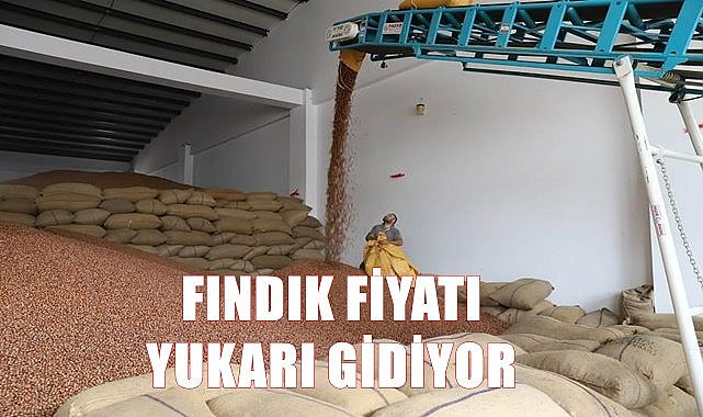 Fındık fiyatı 4.12.2022
