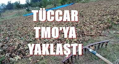 Fındık fiyatı 6.12.2022