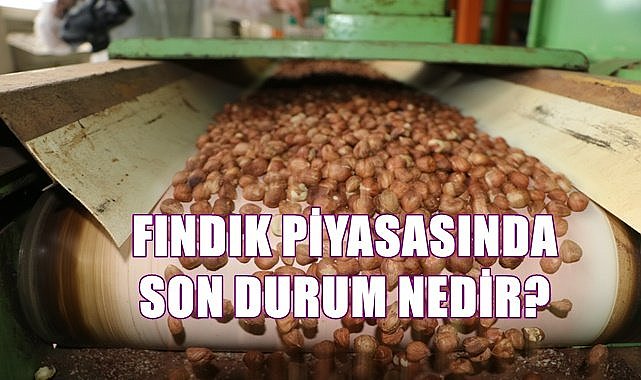 Fındık fiyatı 7.12.2022