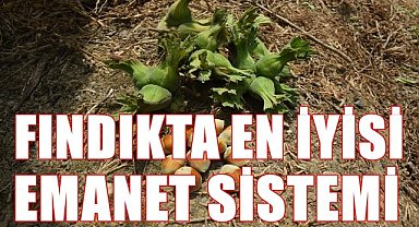 Fındık Tüccarı Erkoç: Fındıkta en iyisi "Emanet Sistemi"