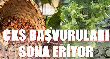 Fındık üreticilerine uyarı geldi