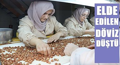 Fındıktan ülkeye giren döviz miktarı düştü