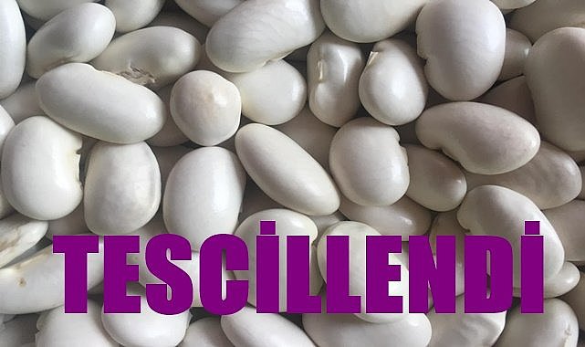 Gürgentepe Çoban Fasulyesi tescillendi