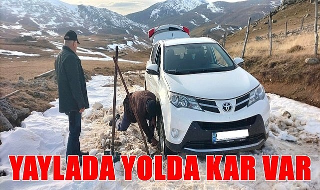 Ordu'da Çambaşı Yaylası'nda araçlar mahsur kaldı