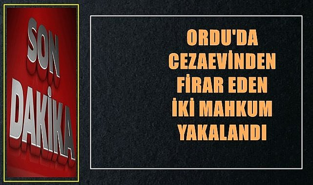 Ordu&#039;da cezaevinden firar eden iki mahkum yakalandı