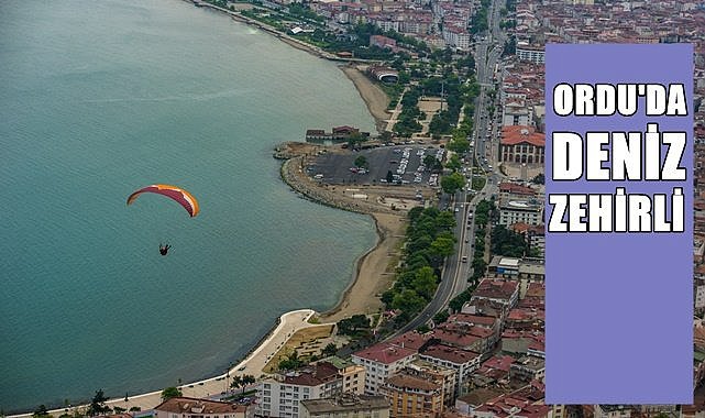 Ordu&#039;da deniz zehirli!
