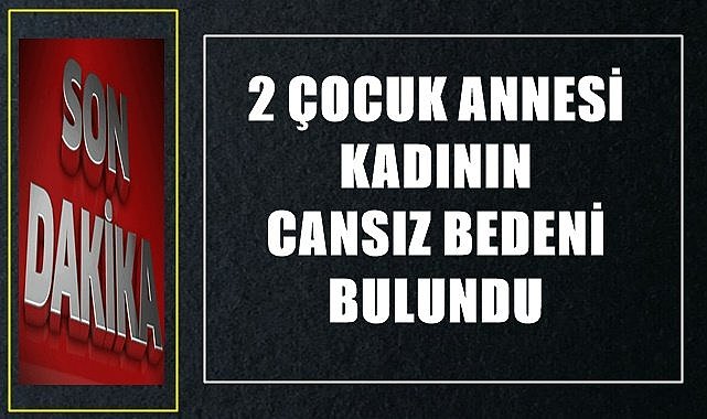 Ordu&#039;da iki çocuk annesi kadın elim olayda hayatını kaybetti