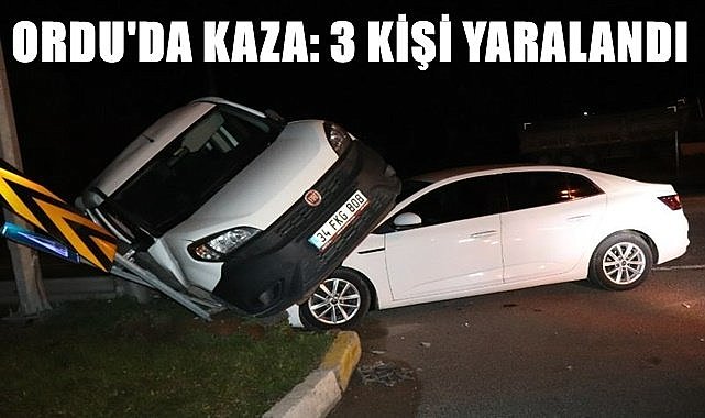 Ordu&#039;da kaza: 3 kişi yaralandı