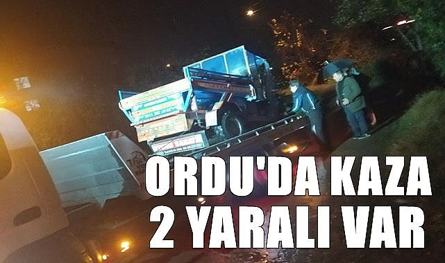 Ordu&#039;da kazada 2 kişi yaralandı