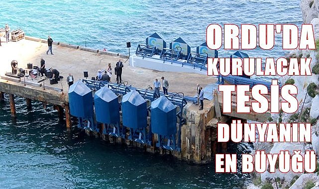 Ordu&#039;da kurulacak tesis dünyanın en büyüğü olacak