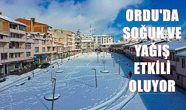 Ordu'da soğuk ve yağışlı hava etkili oluyor