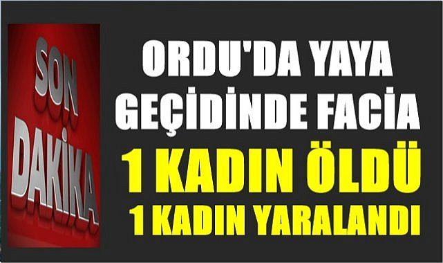Ordu&#039;da yaya geçidinde kaza: 1 ölü 1 yaralı