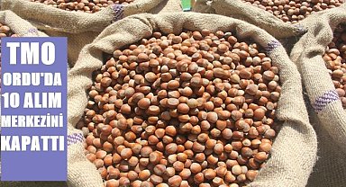 TMO Ordu'da fındık alım merkezlerini kapattı