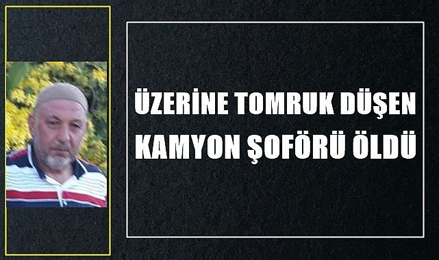 Üzerine tomruk düşen kamyon şoförü hayatını kaybetti