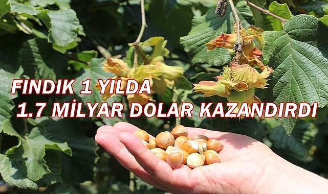 Fındık 1 yılda 1.7 milyar dolar kazandırdı