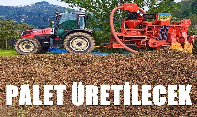 Fındık dış kabuğundan palet üretilecek