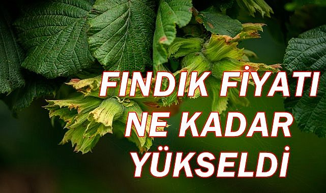 Fındık fiyatı 03.01.2022