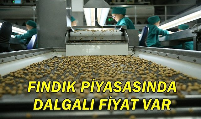 Fındık fiyatı 05.01.2023