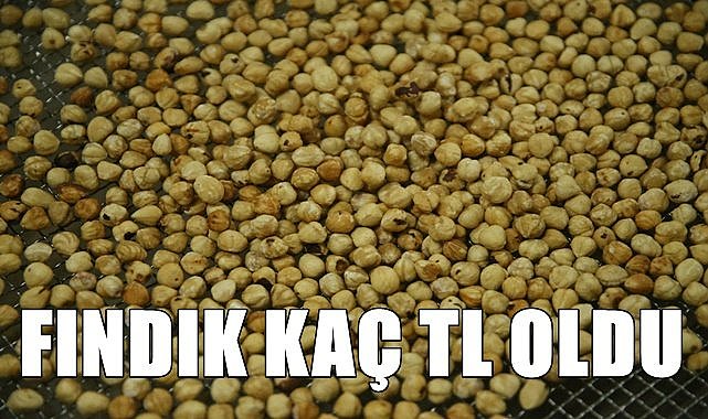 Fındık fiyatı 10.01.2023