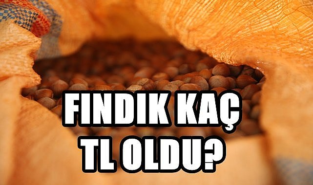 Fındık fiyatı 29.01.2023