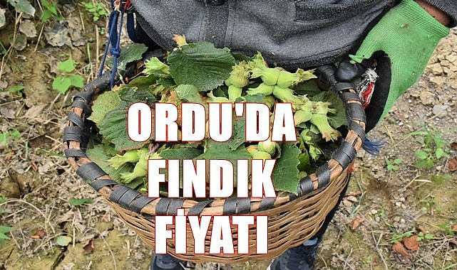Fındık fiyatı 30.01.2023
