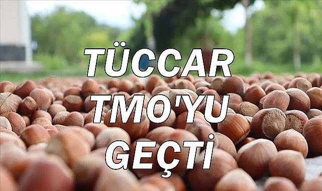 Fındık fiyatı tüccarda TMO'yu geçti