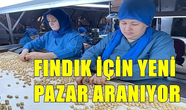 Fındık için yeni pazarlar aranıyor
