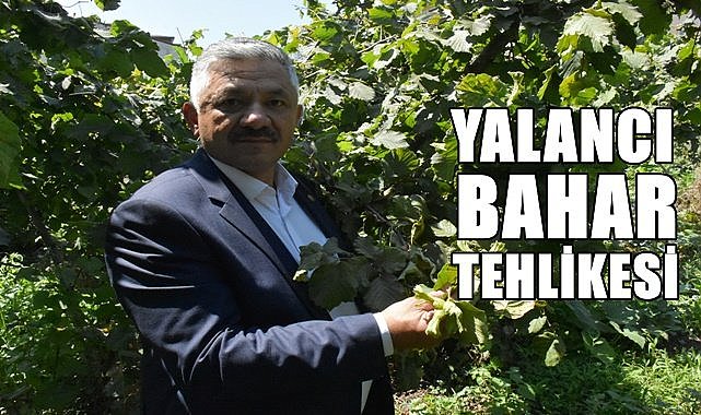 Fındıkta yalancı bahar tehlikesi!