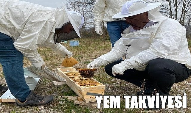 Ordu'da arı ölümleri yaşanmayacak!