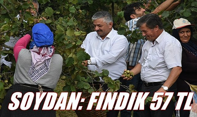 Ordu&#039;da fındık 57 TL
