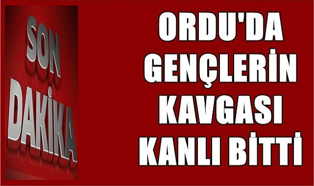 Ordu&#039;da gençlerin kavgasında kan aktı