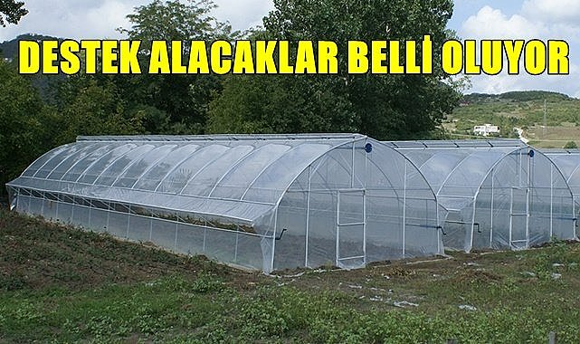 Ordu'da sera desteği alacaklar belli oldu