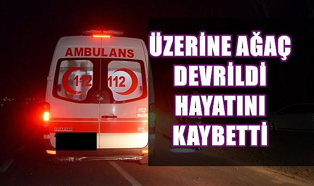 Üzerine ağaç devrilen kişi hayatını kaybetti