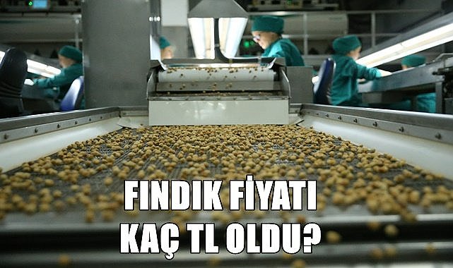 Fındık fiyatı 12.02.2023