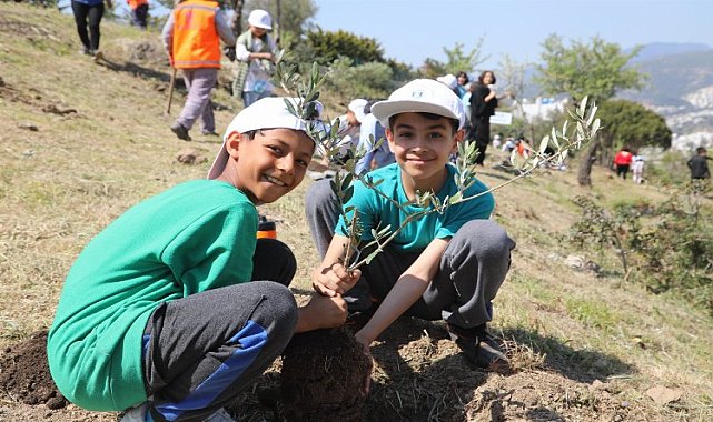 Bodrum&#039;da zeytin fidanları toprakla buluştu