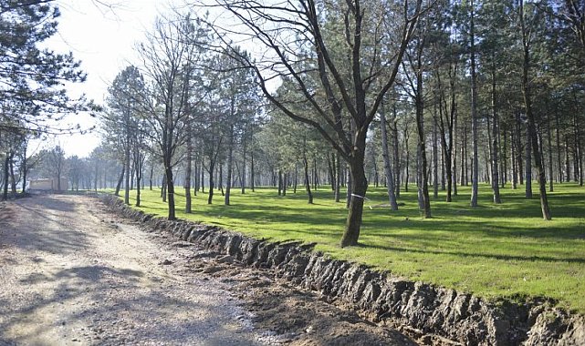 Bursa'da 'Yeşil Yıldırım' hamlesi