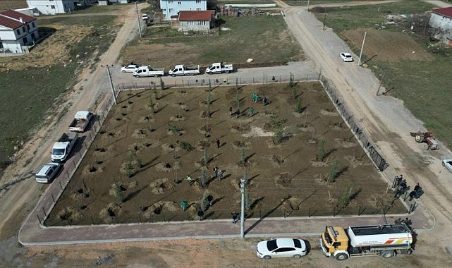 Bursa İnegöl'de 64 fidan toprakla buluştu