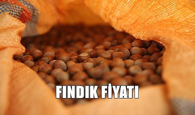 Fındık fiyatı 11 Mart 2023 Cumartesi