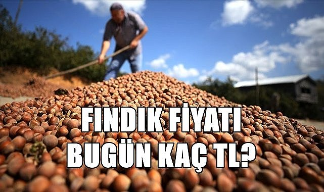 Fındık fiyatı 25.03.2023