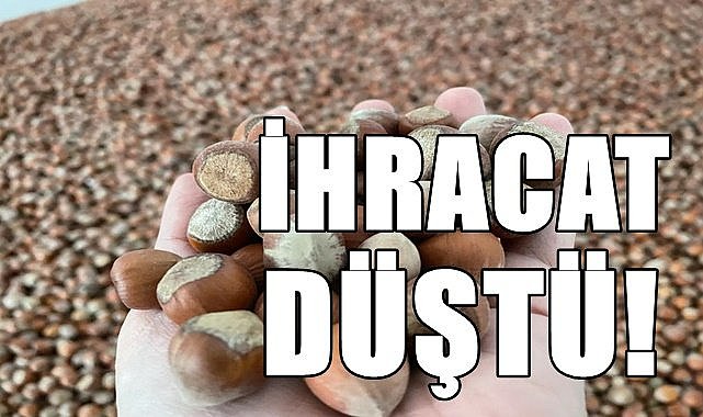 Fındıktan 6 ayda elde edilen gelir 1 milyar doları geçti