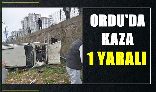 Ordu'da kazada 1 kişi yaralandı