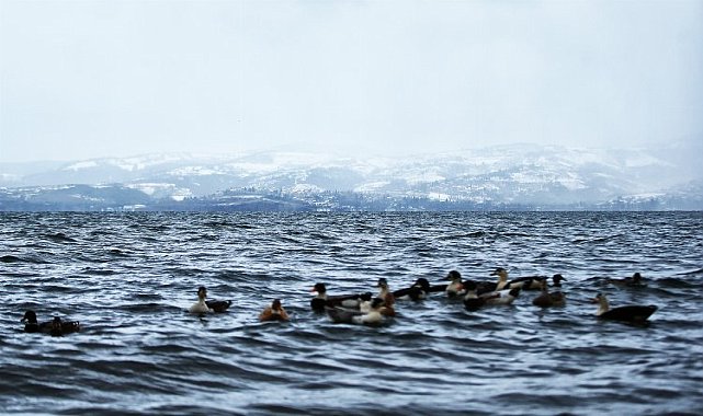 Sakarya&#039;dan rahatlatan açıklama... Sapanca&#039;da seviye yükseldi, risk yok!